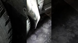 Увеличенные брызговики на Ниссан Террано 2015 года