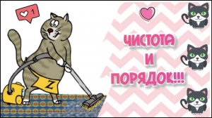 Уборка в приюте. Часть 2