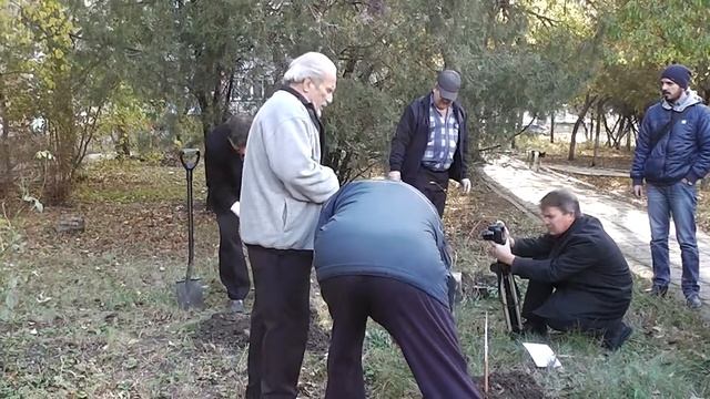 Дерево Дружбы. Керчь. День Народного Единства. 4 ноября 2016 года смотреть онлайн