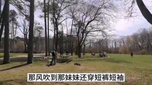 《vlog》2022到High Park 賞櫻，5月賞櫻黃金週Cherry Blossom Season Begins at Toronto's High Park#加拿大 多倫多#High Par