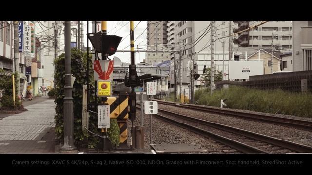 Sony ZV-1 Review - A New Camera Not Only for Vloggers смотреть онлайн