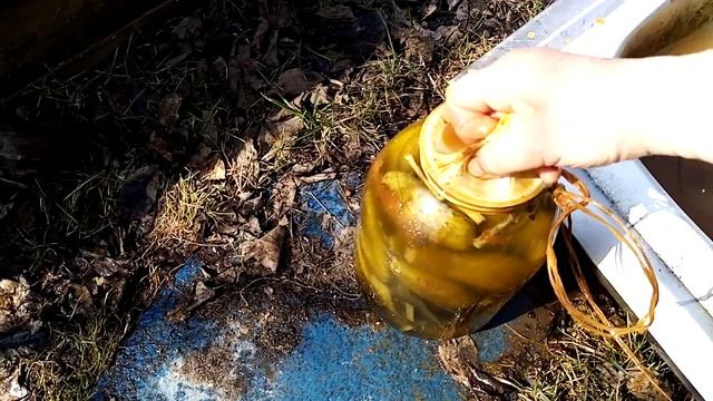 Огурцы солёные с колодца /pickled cucumbers from the well/ смотреть онлайн