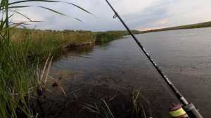 ЛОВЛЯ ЩУКИ НА НЕОГРУЖЕННЫЙ СИЛИКОН В ТРАВЕ