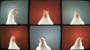 Курицы танцуют под ГОЛОСОВАНИЕ