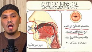 МАХРАДЖ ФА (الفاء), УАУ (الواو), БА (الباء), МИМ (الميم) | ГУБНЫЕ БУКВЫ