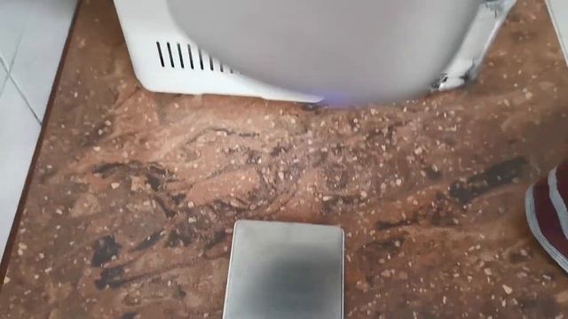 Breadmaker Kenwood BM250 Take 7 230g liquid, BuckWheat, Egg, Mixed Nuts & Bake with Yen Flour смотреть онлайн