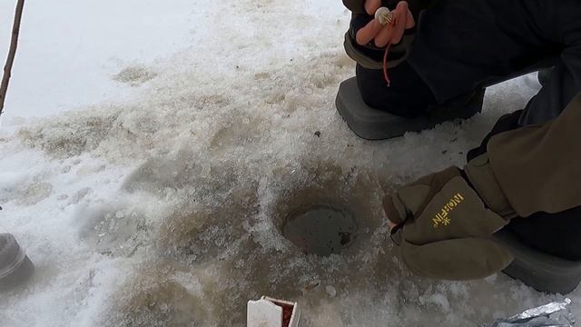 ЛАЙФХАК с пучковязом и резинками для МОТЫЛЯ. life hack
