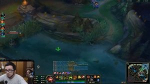 Нидали (Лес) гайд-геймплей 9.14 (Nidalee)|Лига легенд| 1 скилл 1 труп