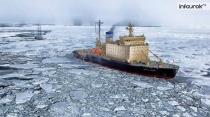 Урок "ЖИВОТНЫЕ ХОЛОДНЫХ СТРАН"