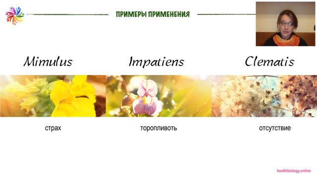 Три первых цветка Баха смотреть онлайн