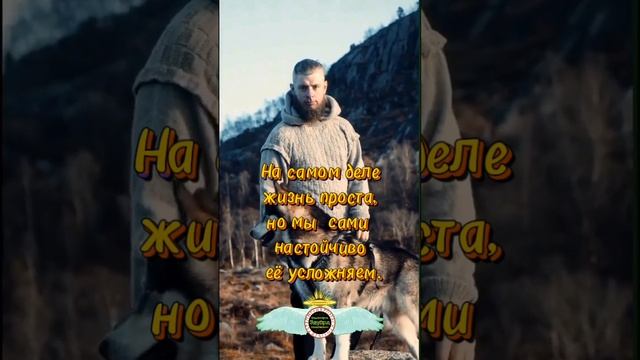 На самом деле жизнь проста. Вдохновляющие цитаты. Комиссаров Эдуард Михайлович. Мудрые слова.