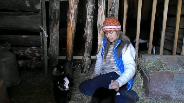 кози ламанча