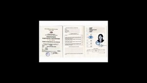 Международные водительские права: как получить