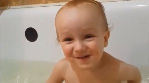 Кто пасется на лугу