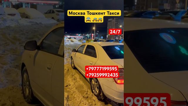 Москва Тошкент такси #мусофир #мусофирлар #узбекистан #рек #самарканд #кашкадарё #мигранты #бухоро