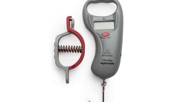 "Top 10 Fish Scales Reviewed: Find Your Perfect Fishing Companion with Our Expert Analysis." смотреть онлайн