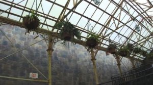 The Wizarding World of Harry Potter at Universal Orlando (Full HD)
