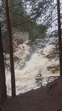 ☀ КАРЕЛИЯ | ВОДОПАД ГИРВАС | 05 МАЯ 2024