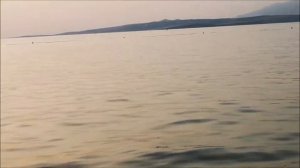 Blooming beautiful island Vir, Croatia. Цветущий и красивый остров Вир, Хорватия.