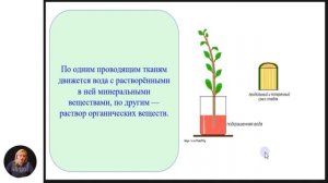 Биология, 6-й класс, Вегетативные органы цветковых растений и их функции...