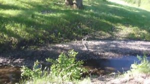 Река Сакмара.  Башкирия