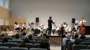 011.2 И.Штраус "Полька пиццикато"