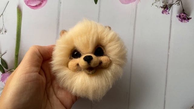 Кремовый шпиц брошка, валяние / Cream pomeranian brooch, felting