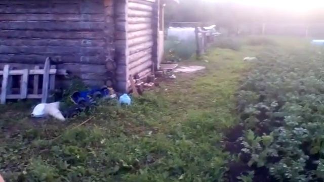 Пошли в баню ! смотреть онлайн