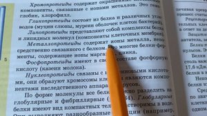📚Биология/10/Теремов/Тема 8:Свойства и функции белков/08.12.23 11:30