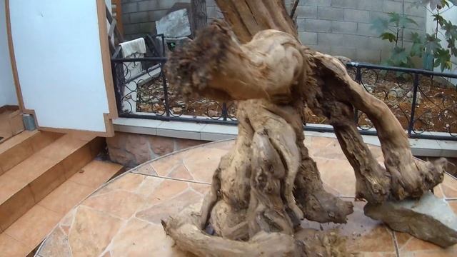 Обзор № 14. Виноградная коряга, без обработки. смотреть онлайн