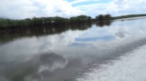 От г. Хабаровска по реке Амур и протоке Талга. ЧАСТЬ ВТОРАЯ