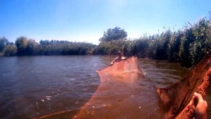 Ловля раков на бредень / невод. Наловили, сварили, съели! Вид от первого лица!