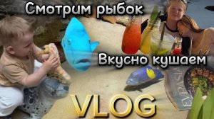 ВЛОГ / Океанариум / Евразия / Закупка Летуаль