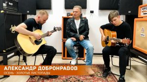 Александр Добронравов - Осень-золотые листопады | Acoustic Version, 2021