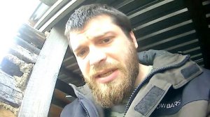 Свиньи как бизнес. Мы возвращаемся