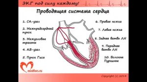 Урок 1  Видеокурс ЭКГ под силу каждому