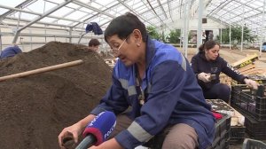 В муниципальных теплицах МКУ «Комсервис» стартовала подготовка семян и грунта к посадкам в 2024 году