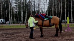 Комплекс упражнений для иппотерапии