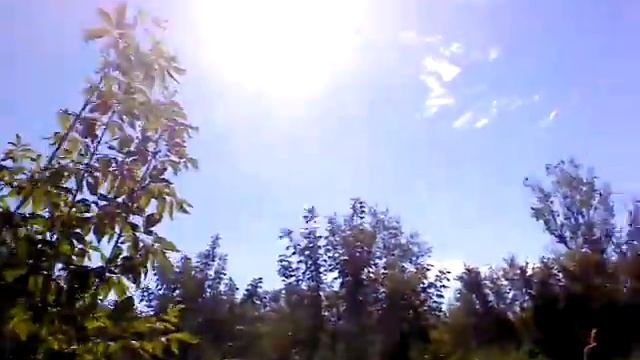 Поход всем классом смотреть онлайн