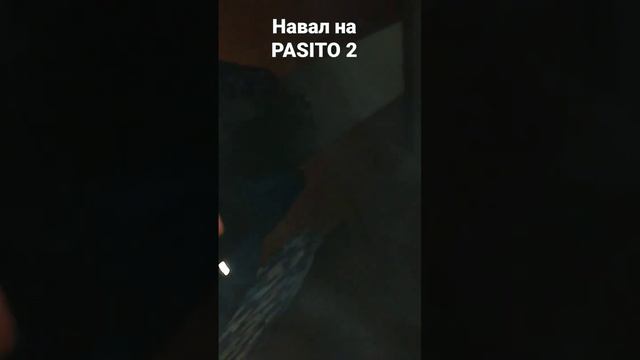 Навал на пасик 2