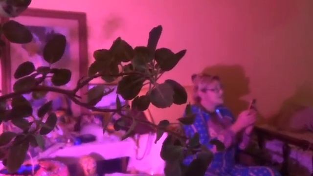 Посвящение Сарасвати - Богине Мудрости и Знания - автор Алладини - Глобальная волна смотреть онлайн