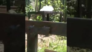 Каркас теплицы из металлического и оцинкованного профиля. Теплицы и парники.