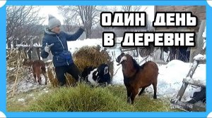 КУПИЛИ ДОМ В ДЕРЕВНЕ. ОДИН ДЕНЬ В ДЕРЕВНЕ