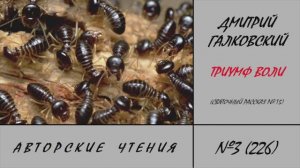 226. Триумф воли. Святочный рассказ №15. Авторские чтения Дмитрия Галковского