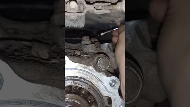 Замена масла в РАЗДАТКЕ - Mitsubishi Lancer X, 2 л, 2008 года плановое ТО DRIVE2