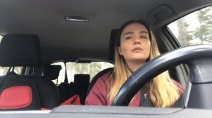 Куда деть собаку во время отпуска?