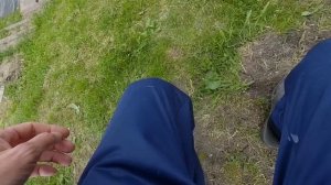 Пруд пеньки 17.05.22.MP4