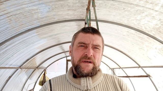 Овощи с грядки или из магазина.