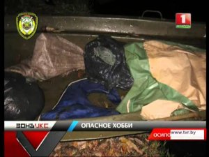 Оборотень в ластах