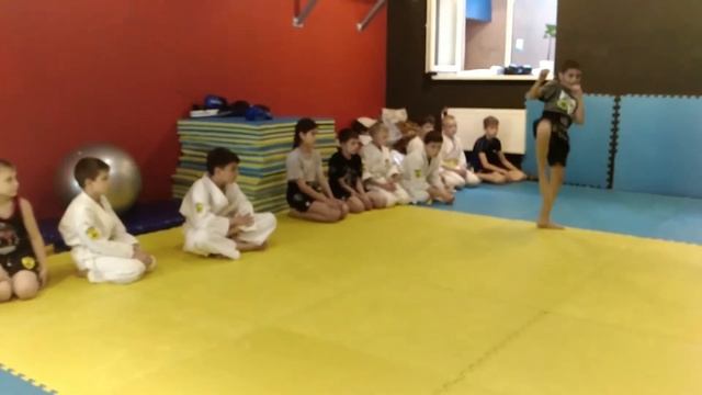 Комбинация каратэ: Кизами-цуки, Гьяку-цуки + Сурикоми-Маваши-гери смотреть онлайн